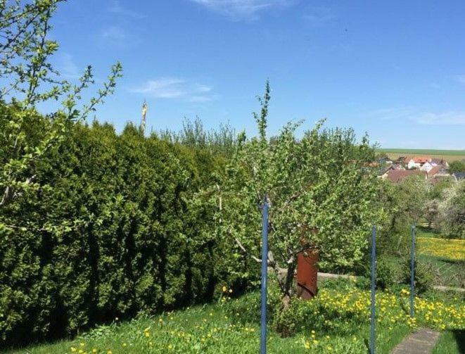 Ferienwohnung Moni Bräunlingen Buitenkant foto